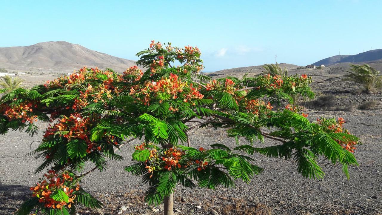 Finca Los Rosales Лахита Экстерьер фото